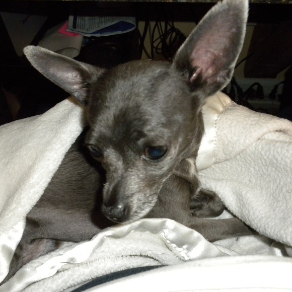 Meet your Posher, Cindy - Picture 1 of 1